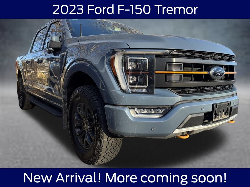 2023 Ford F-150 Tremor's photo