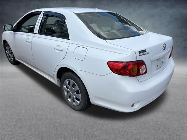 2010 Toyota Corolla photo 3