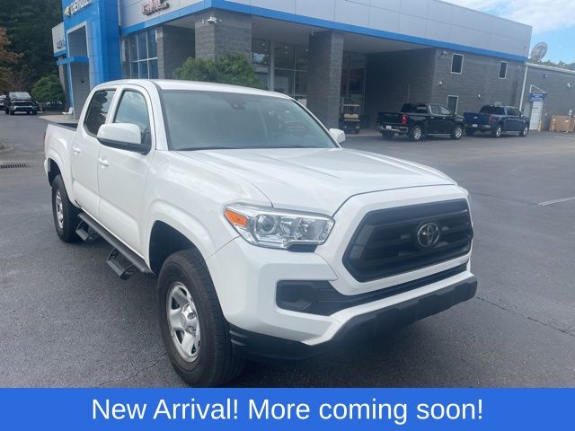 2023 Toyota Tacoma V6 photo 4