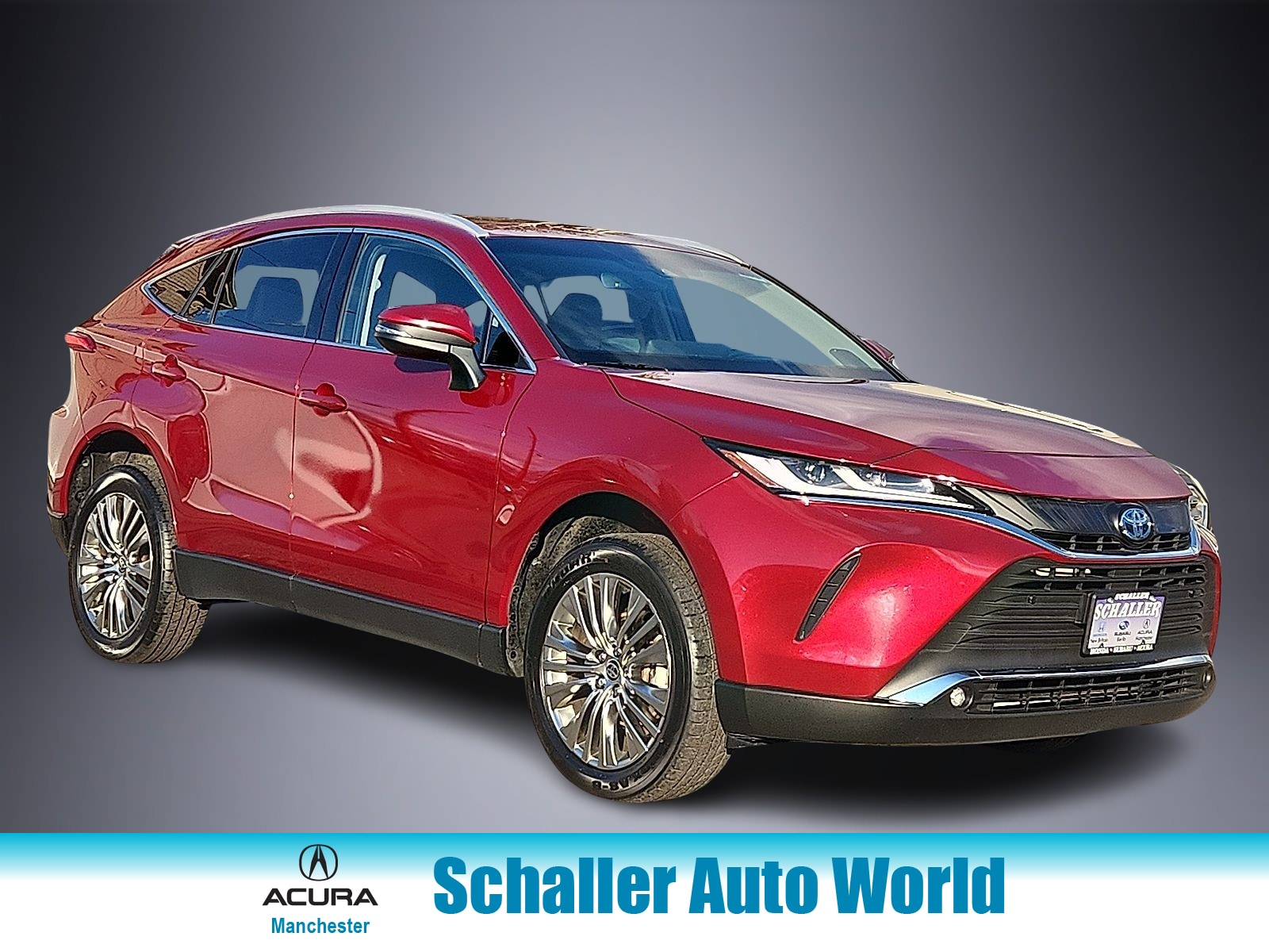 2023 Toyota Venza XLE's photo