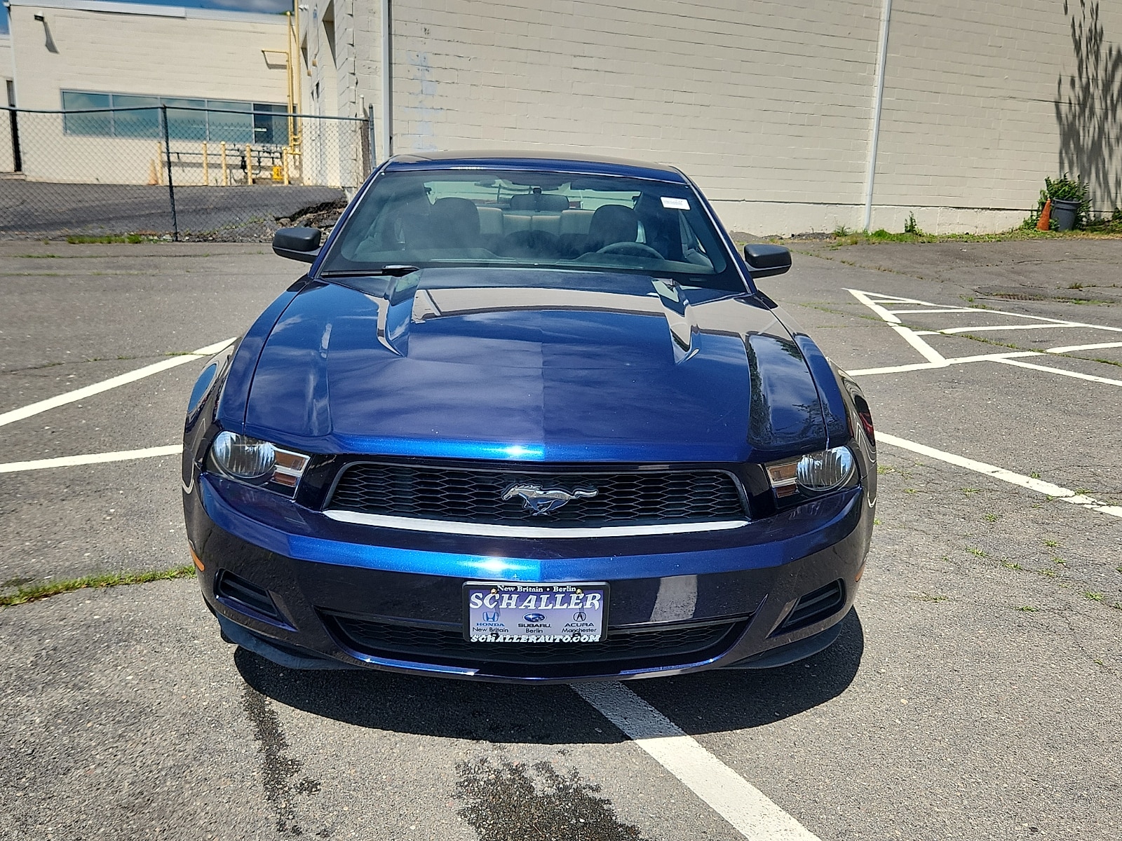 Used 2010 Ford Mustang V6 with VIN 1ZVBP8AN8A5155815 for sale in New Britain, CT