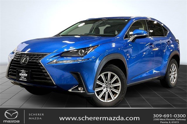 2019 Lexus NX 300's photo