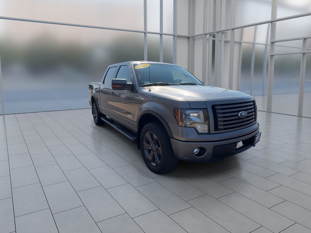 Used 2011 Ford F-150 FX4 with VIN 1FTFW1ET9BFC33991 for sale in Peru, IL