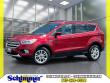 Used 2019 Ford Escape SEL SUV