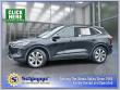 Used 2024 Ford Escape Platinum SUV