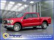 Used 2021 Ford F-150 XLT Truck