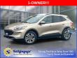 Used 2020 Ford Escape SEL SUV