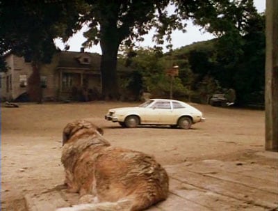cujo6.jpg