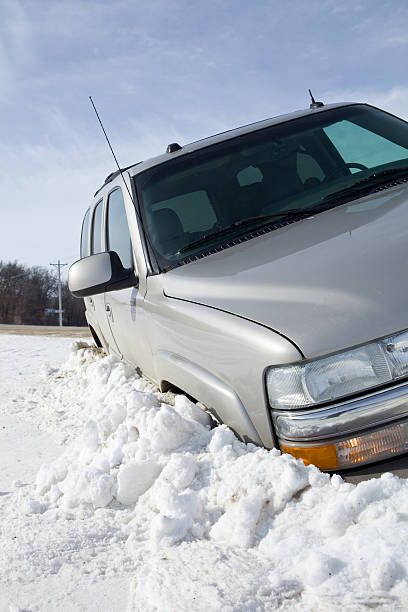 istockphoto-182409202-612x612.jpg