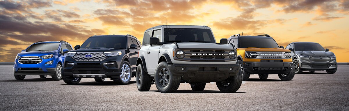SUV%20line%20up.jpg
