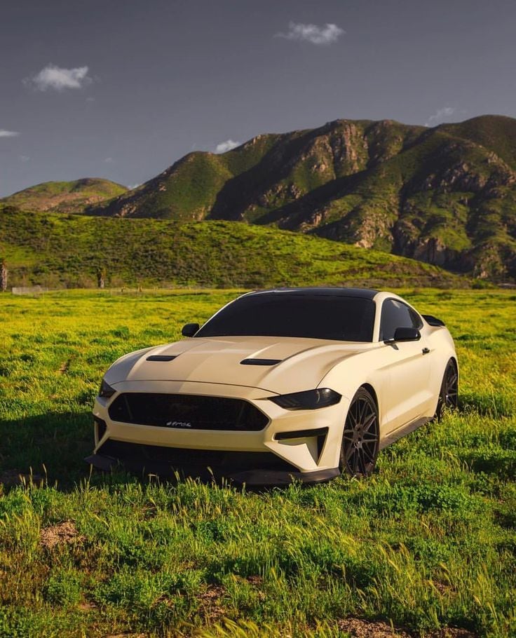 Mustang.jpg