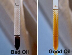 Oil%20dipstick.jpg