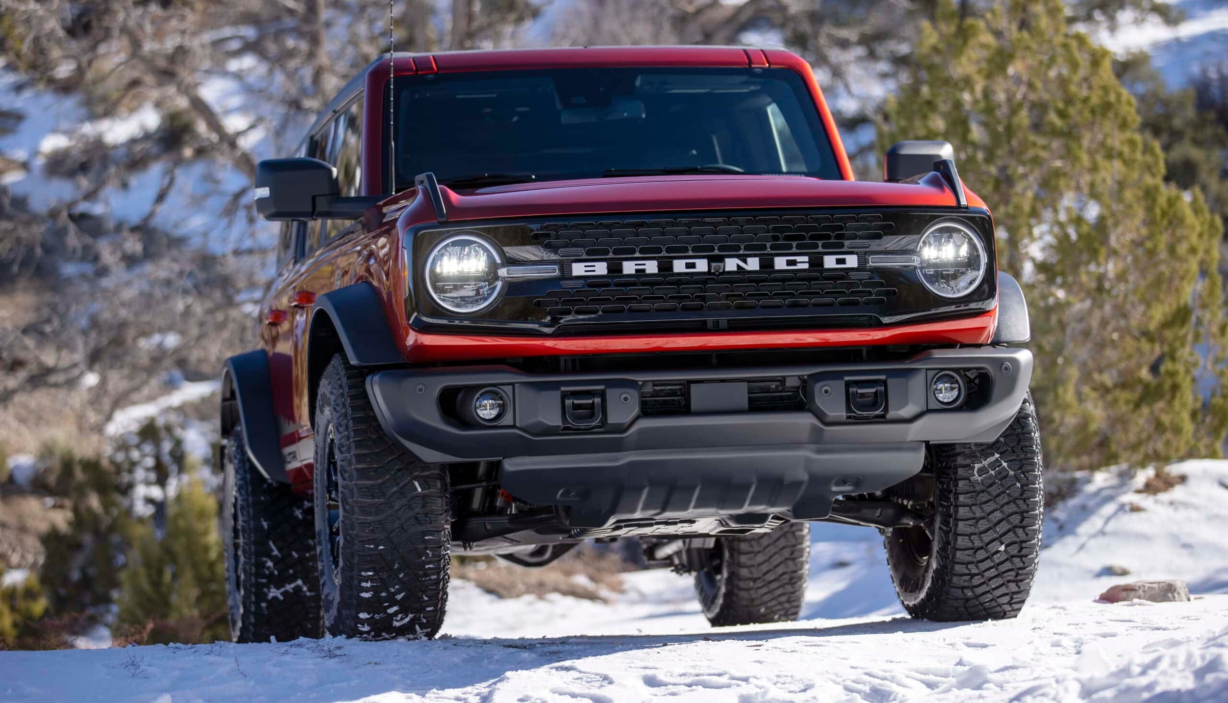 Bronco.jpg