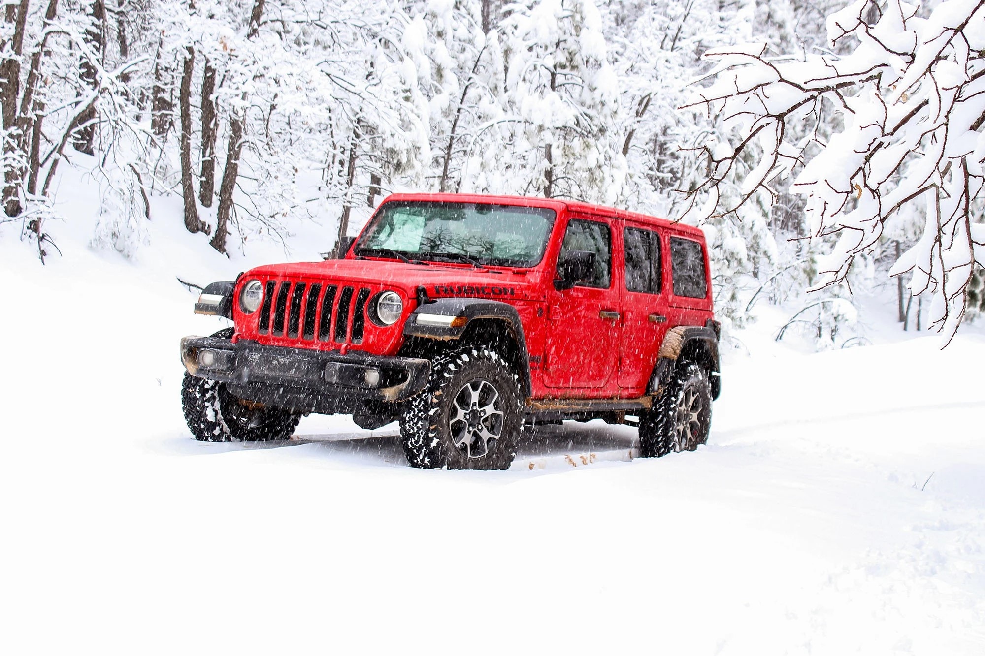 Wrangler.jpeg