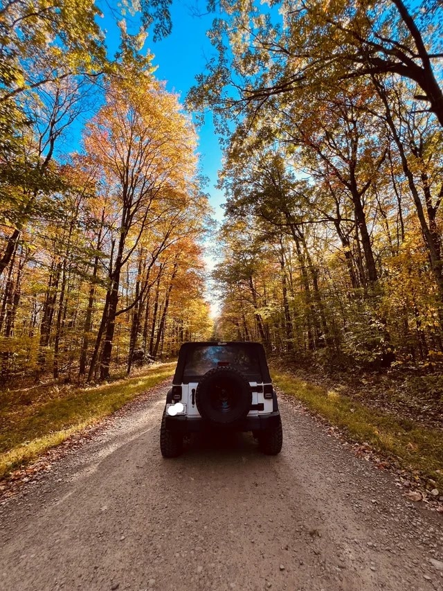 Jeep%20Leaves.jpeg