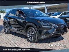 2021 LEXUS NX 300h SUV