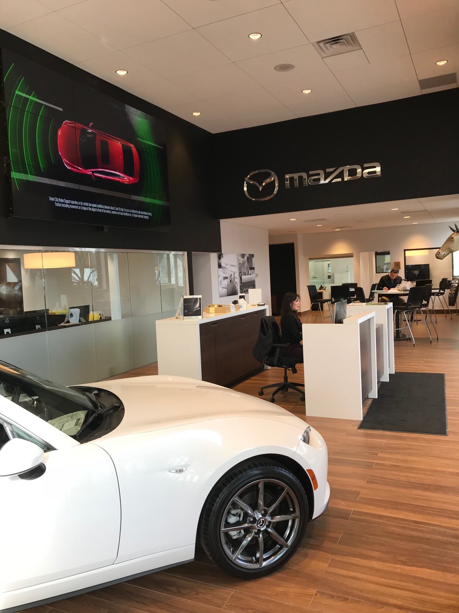 New Mazda & Used Car Dealer Mazda Dealership Shrewsbury, NJ