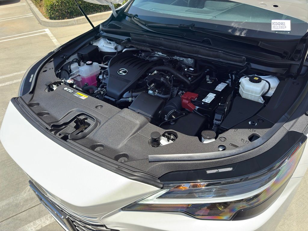 2024 Lexus RX 350 - Photo 6