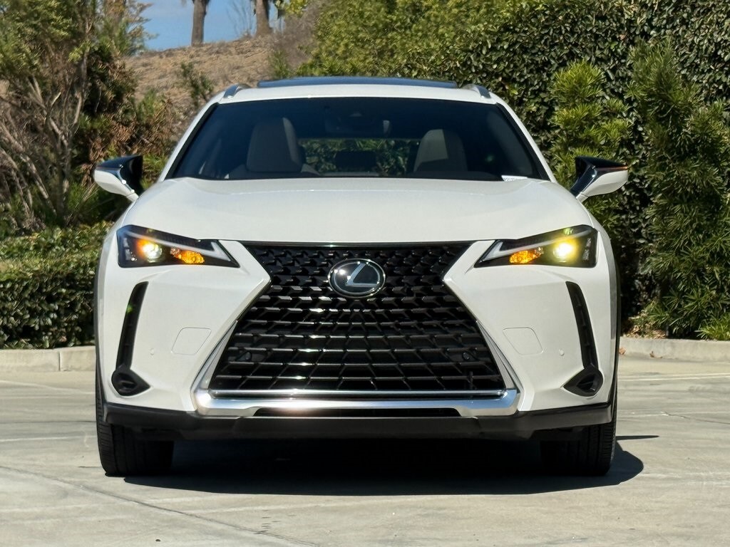 2023 Lexus UX 250h photo 4