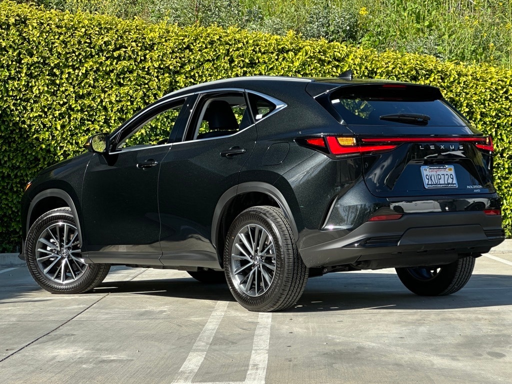 Used 2024 LEXUS NX 350h For Sale at South County Lexus | VIN 