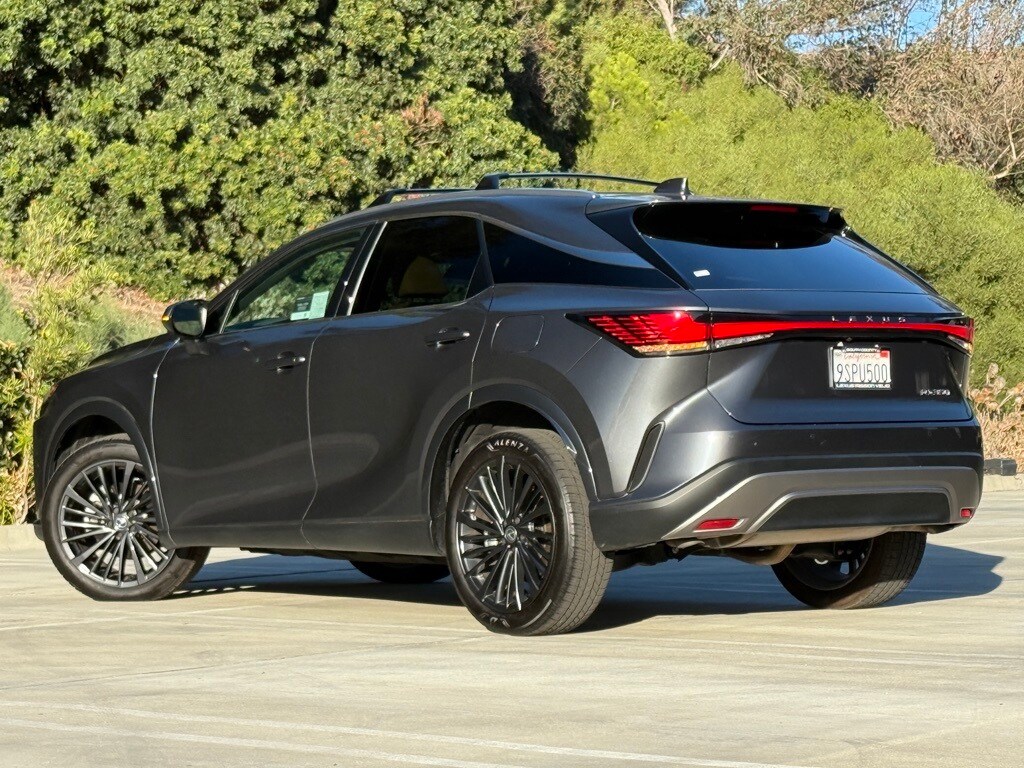 2025 Lexus RX 350 Premium photo 2