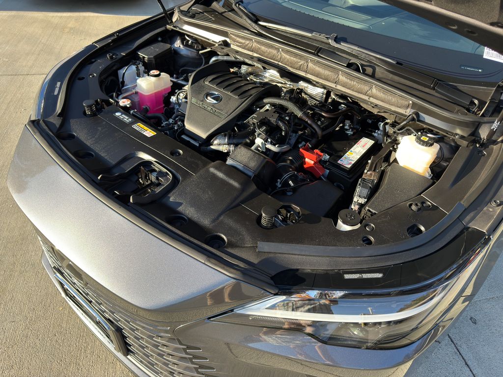 2024 Lexus RX 350 - Photo 6