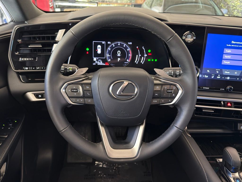 2024 Lexus RX 350 - Photo 22