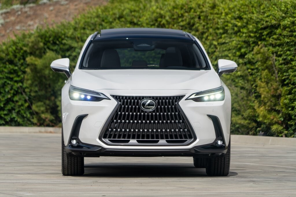 2026 Lexus NX 350h Luxury AWD photo 2