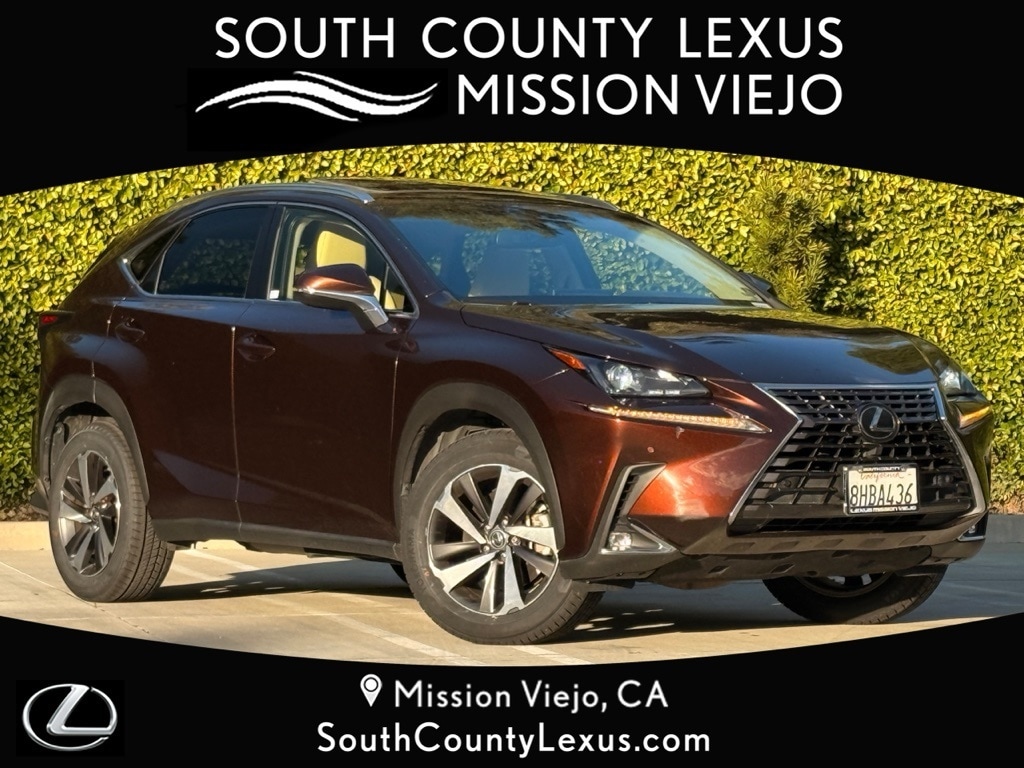 2019 Lexus NX 300's photo