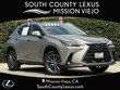 LEXUS NX 250