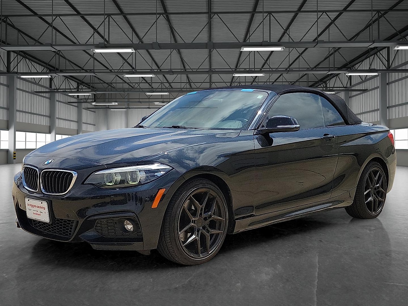 2019 BMW 2 Series 230i xDrive Convertible's photo