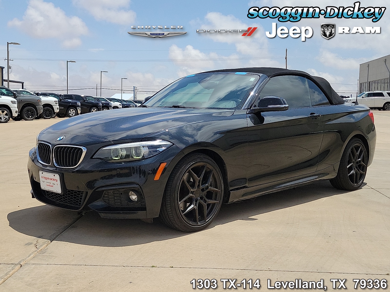 2019 BMW 2 Series 230i xDrive Convertible's photo