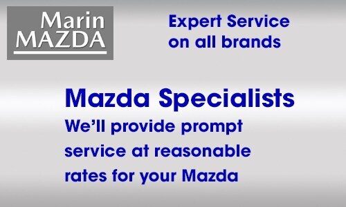 500x3oo_ServiceSpecial_1119.jpg