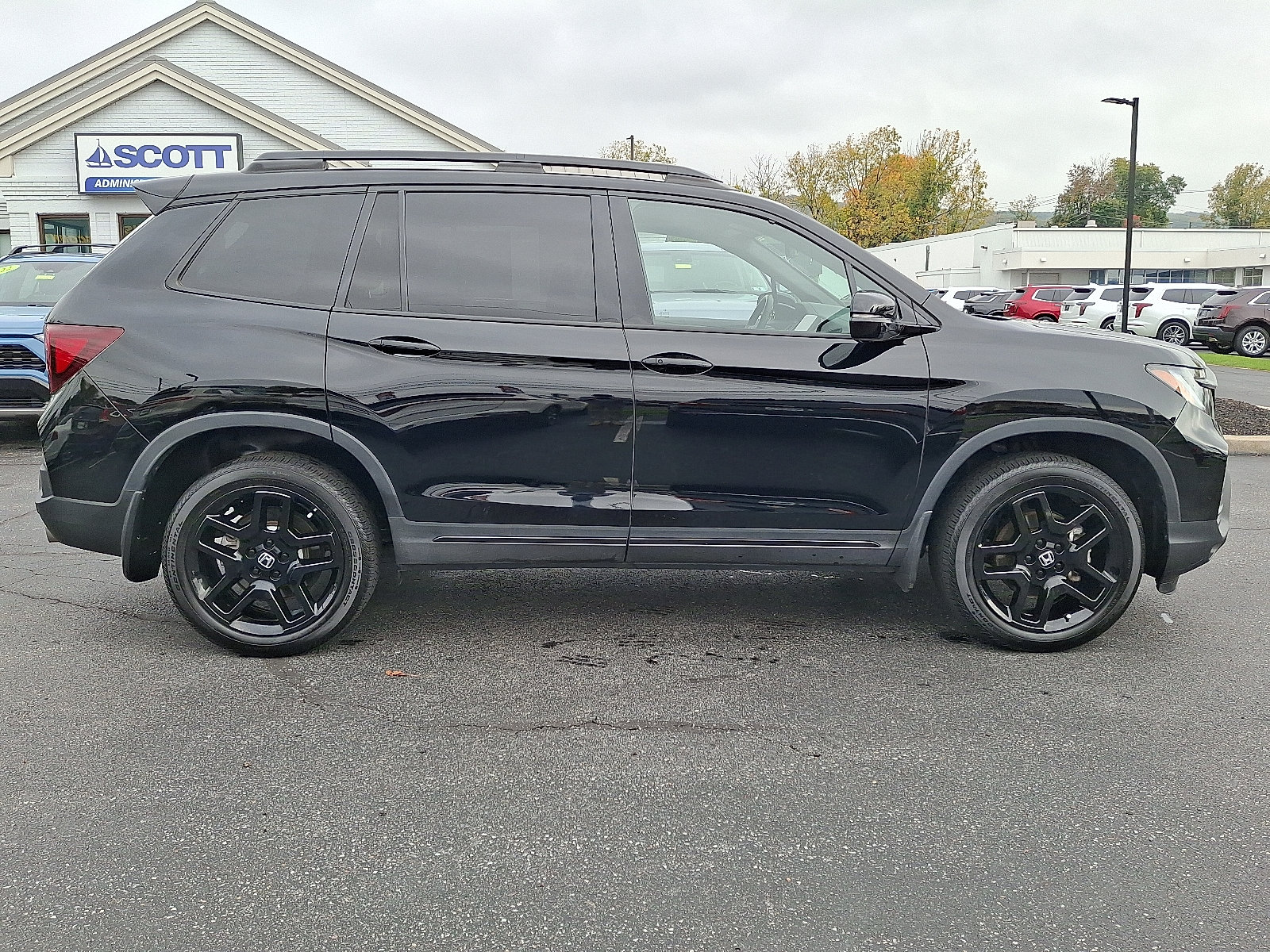 2025 Honda Passport Black Edition - Photo 7