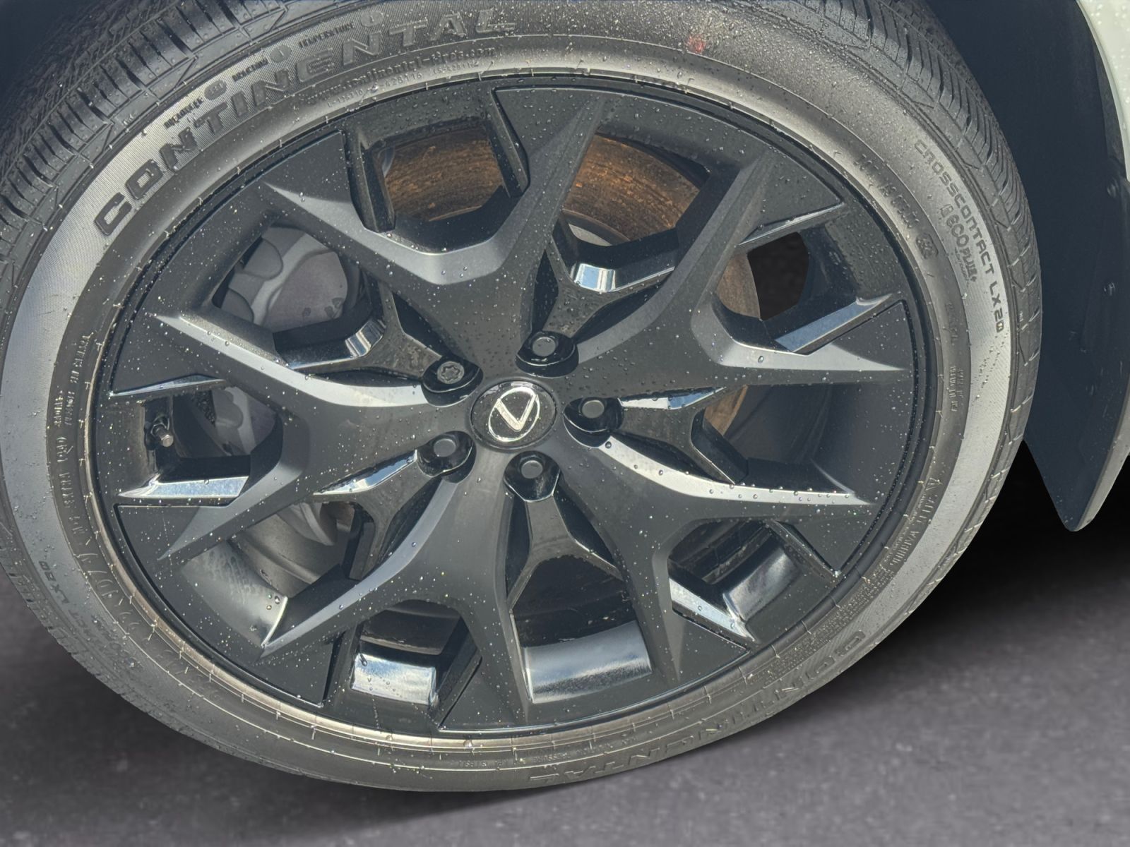 View 9
