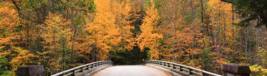 Mohawk Trail