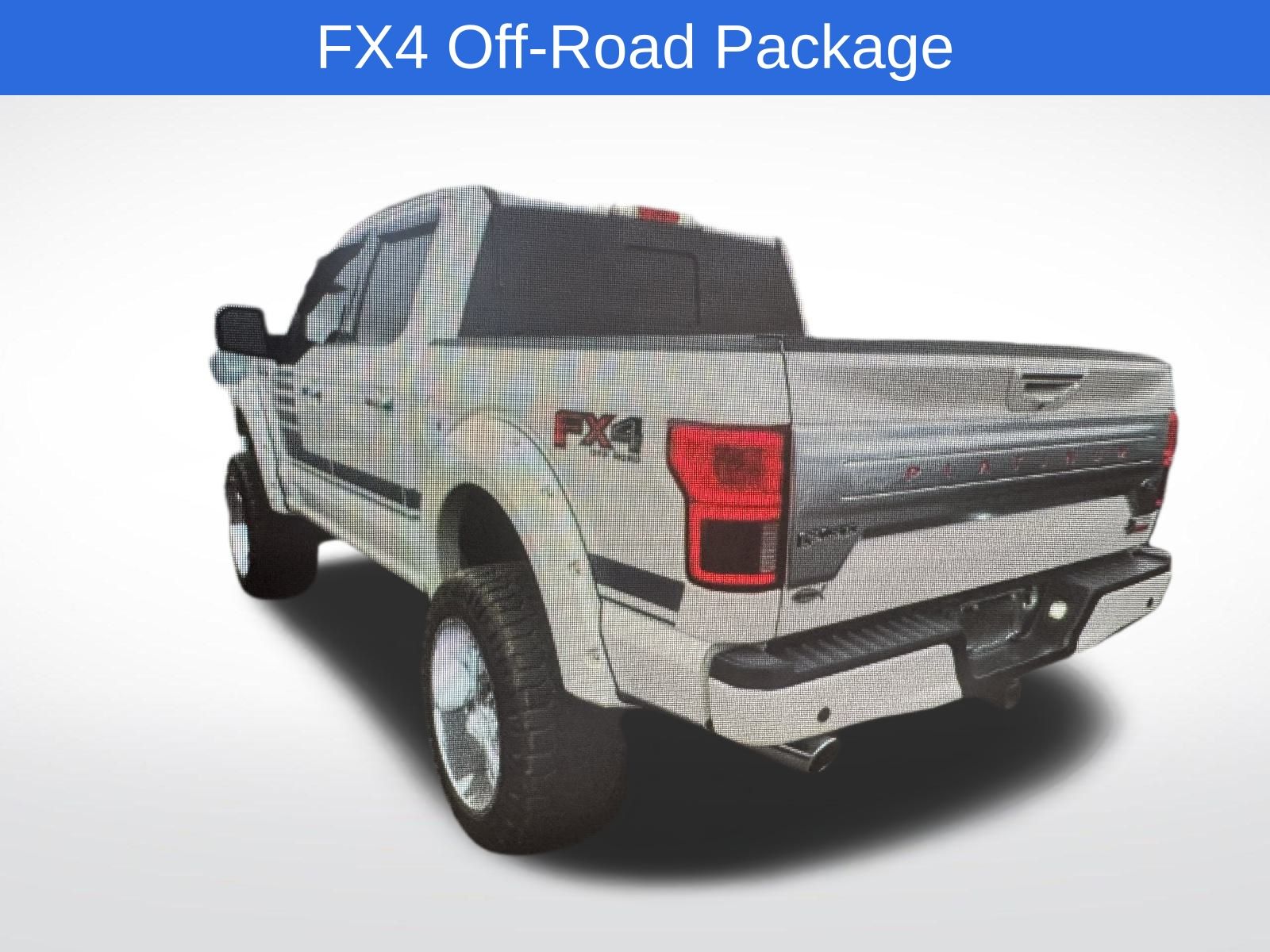 2019 Ford F-150 Platinum photo 2