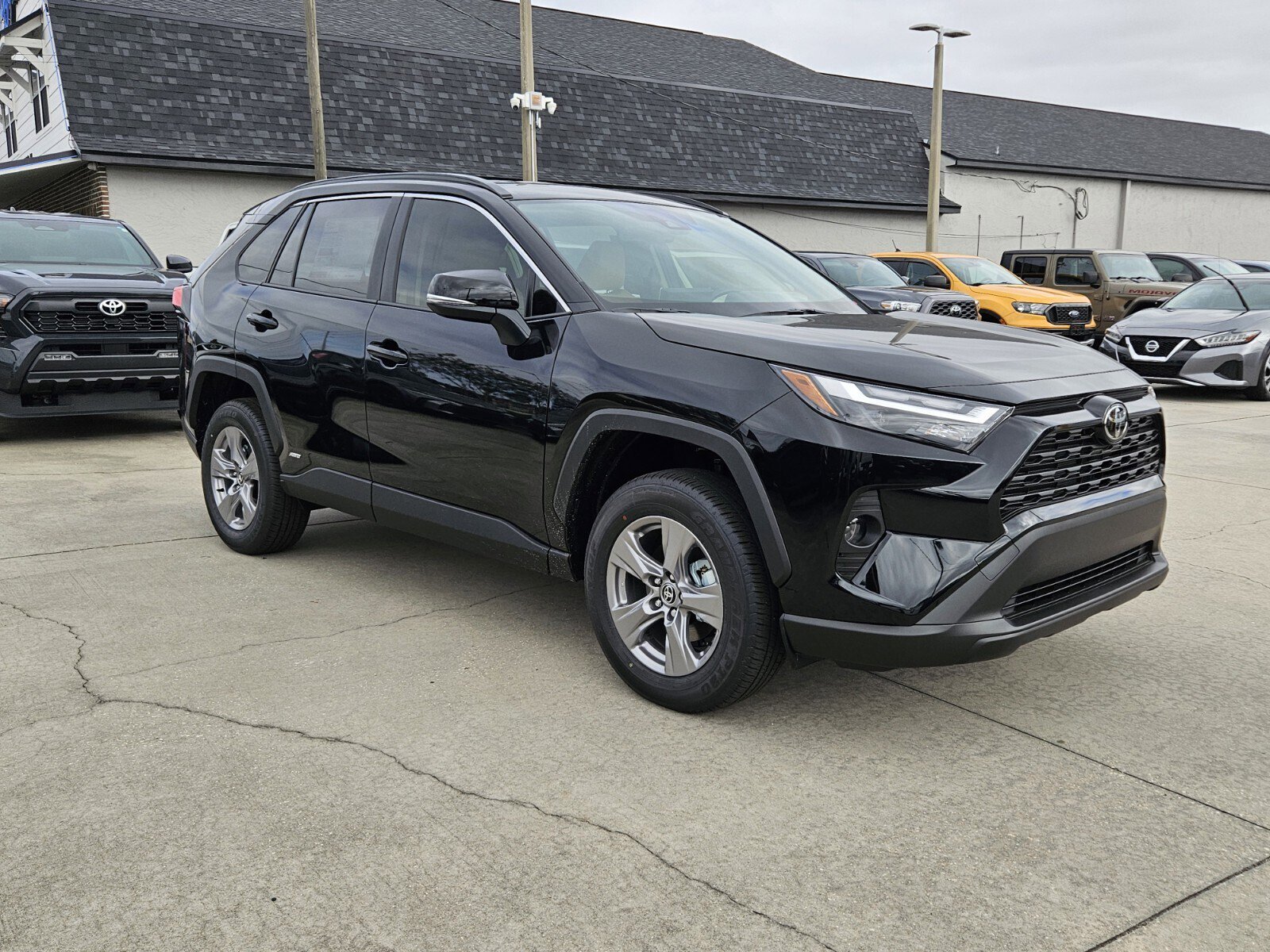 2025 Toyota RAV4 XLE's photo