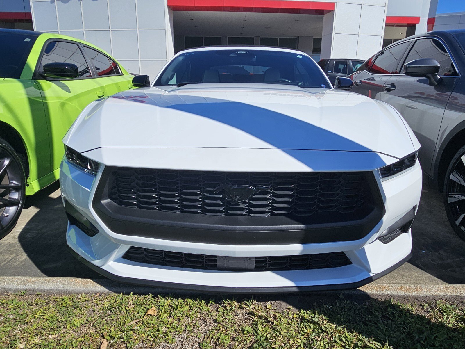 2024 Ford Mustang EcoBoost Premium photo 2