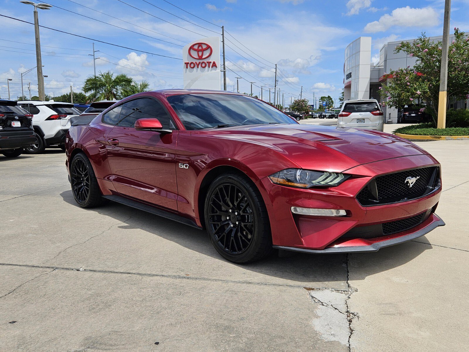 2019 Ford Mustang GT's photo