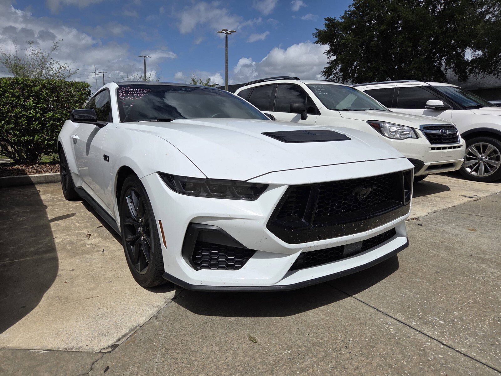 2025 Ford Mustang Coupe 