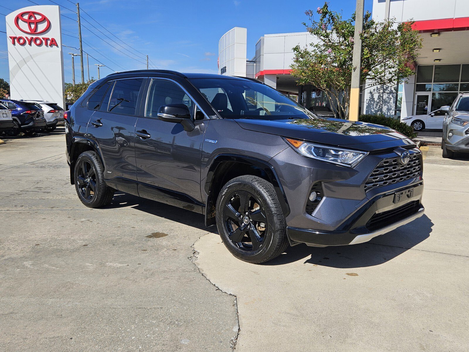 2019 Toyota RAV4 XSE's photo