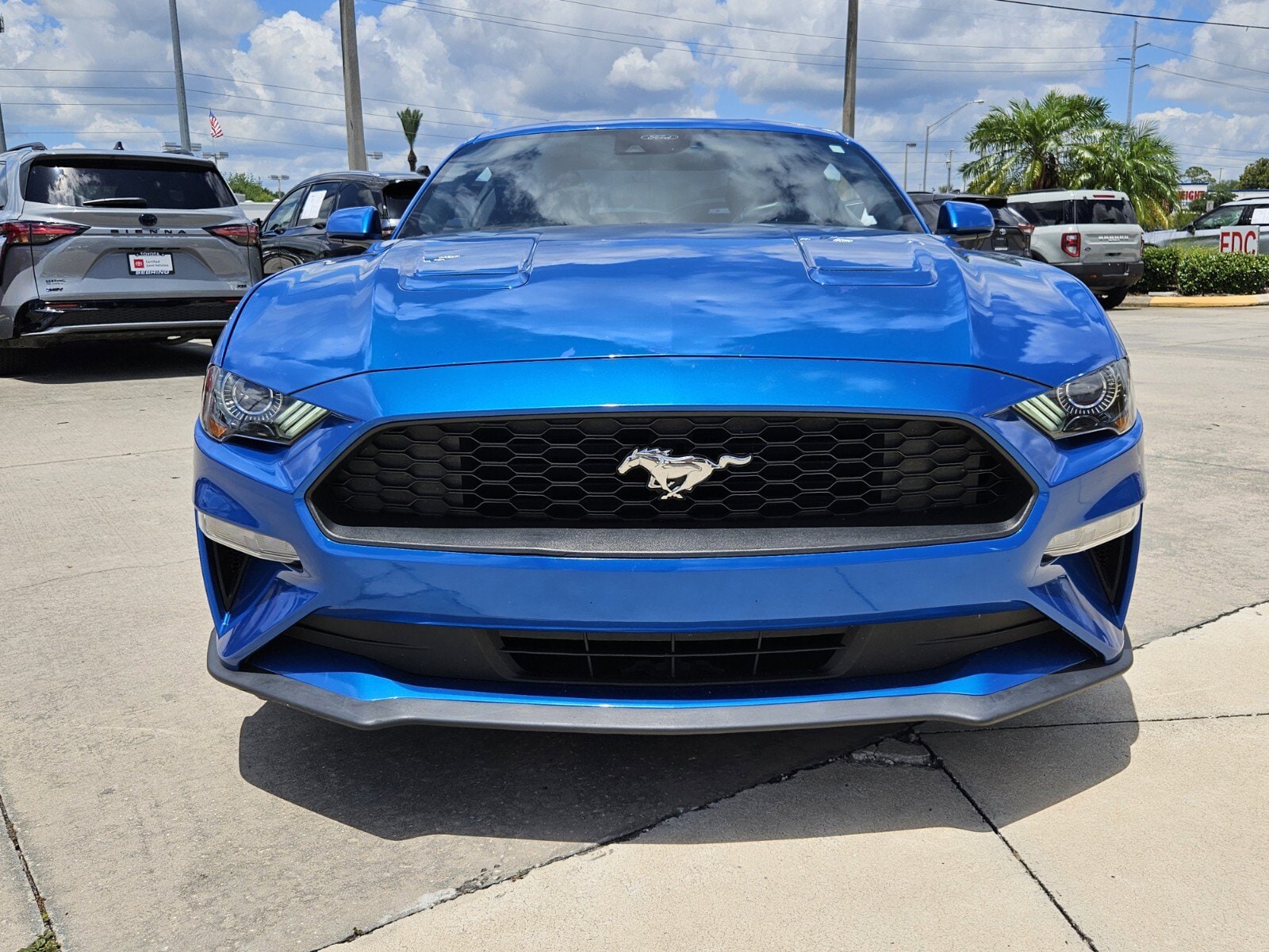 Used 2021 Ford Mustang EcoBoost with VIN 1FA6P8TH3M5119763 for sale in Sebring, FL
