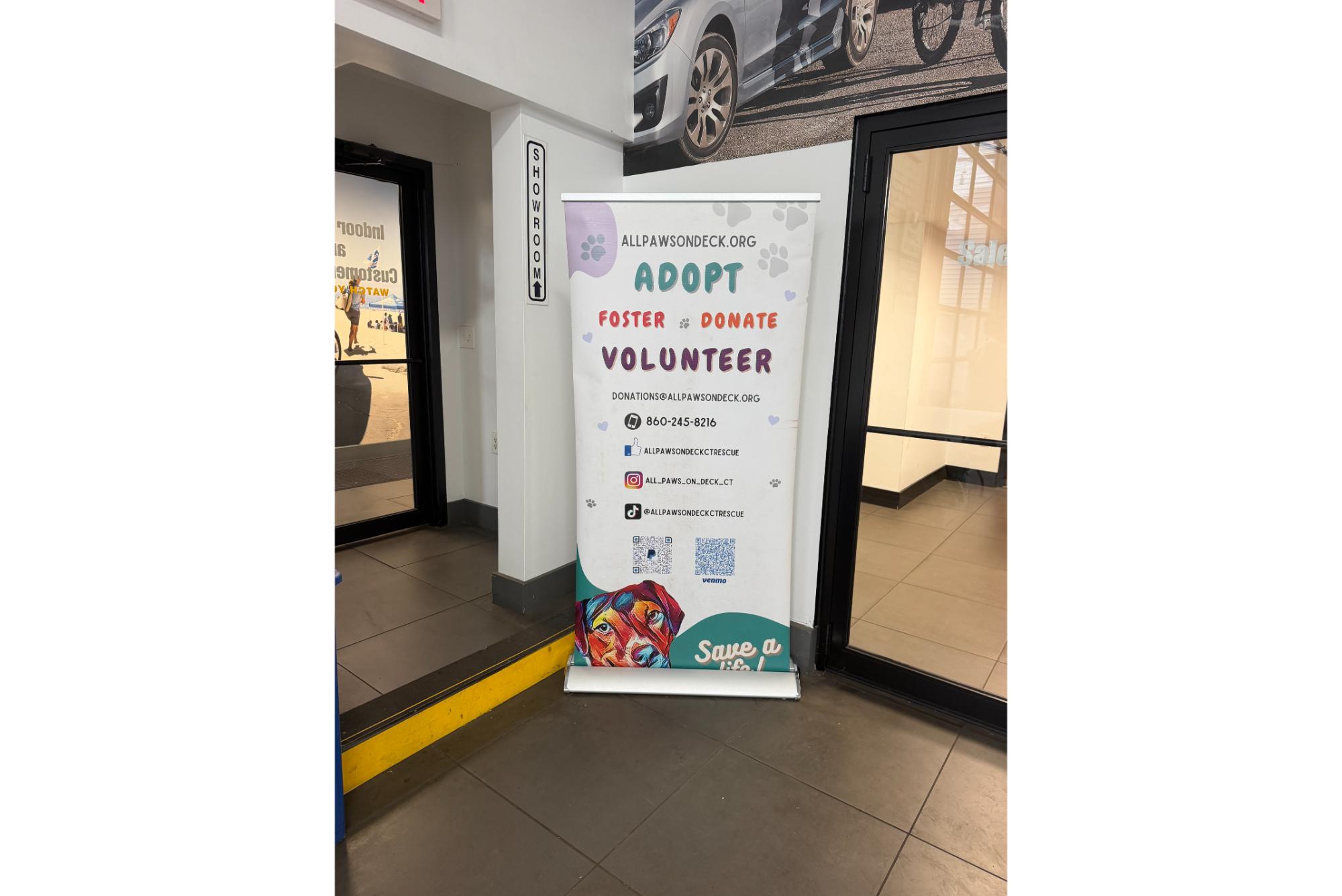Secor Subaru Loves Pets - All Paws On Deck Adoption Event 2026