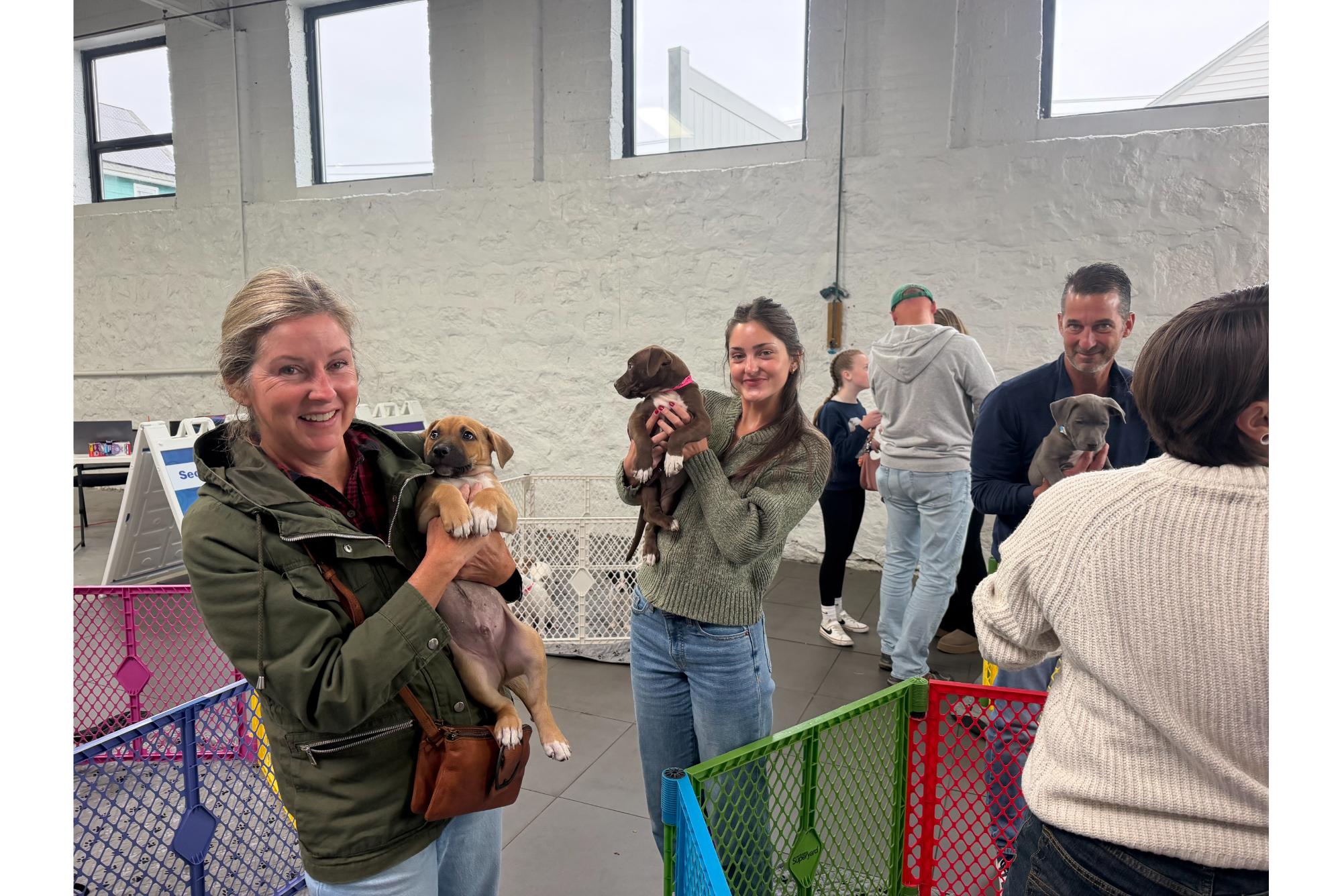 Secor Subaru Loves Pets - All Paws On Deck Adoption Event 2026