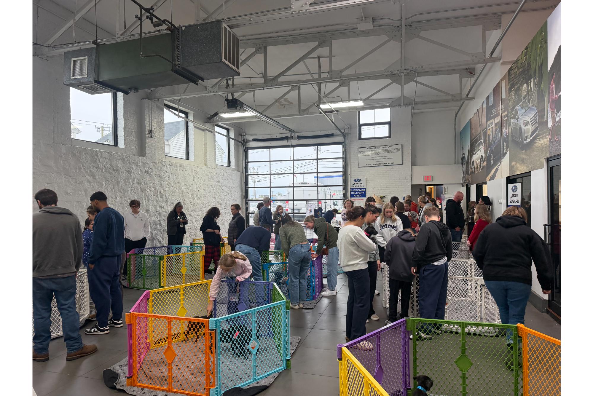 Secor Subaru Loves Pets - All Paws On Deck Adoption Event 2026