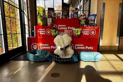 Subaru Loves Pets 2025