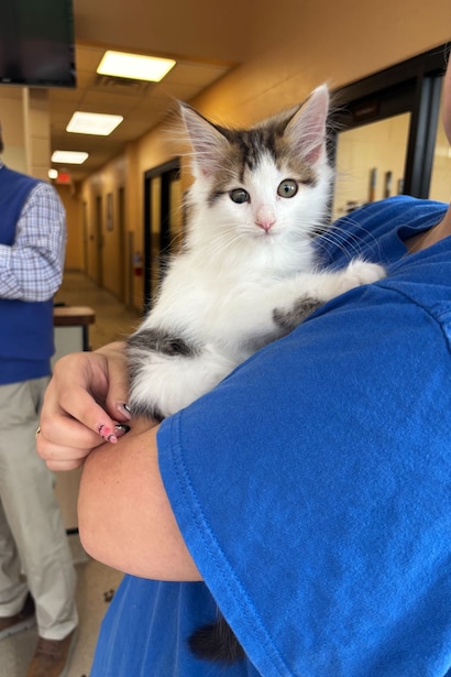 Subaru Loves Pets 2025