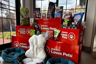 Subaru Loves Pets 2025