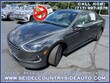  Hyundai Sonata Hybrid